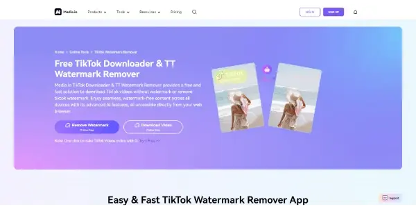 TikTok Watermark Remover
